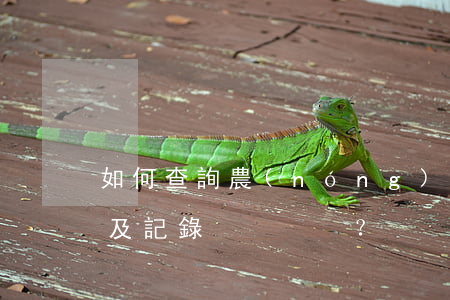 如何查詢農(nóng)行信用卡逾期情況及記錄？
